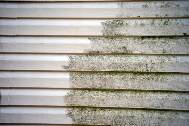 Best Moving and Downsizing Cleanouts  in Bronxville, NY